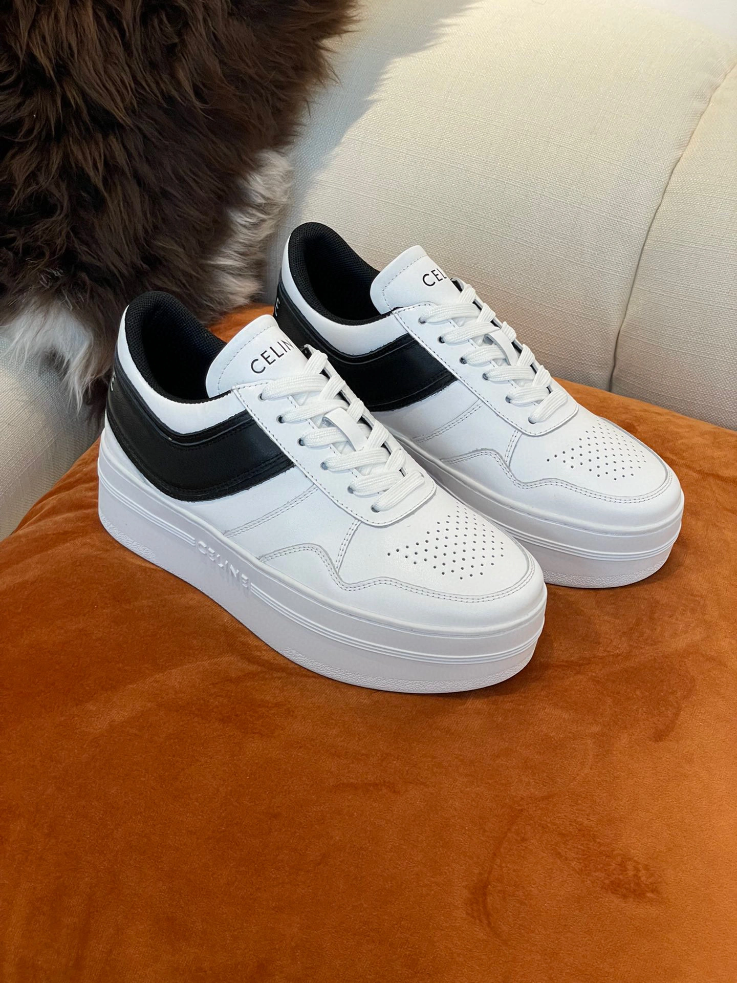 COCO-- 346163338C.01OK item:B-X02L1930
